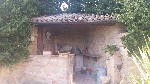 Clicca per vedere l'immagine ingrandita